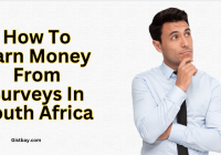 How To Earn Money From Surveys In South Africa