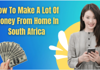 How To Make A Lot Of Money From Home In South Africa