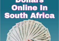 How To Make Dollars Online In South Africa