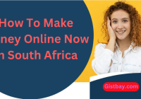 How To Make Money Online Now In South Africa