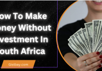 How To Make Money Without Investment In South Africa