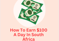 How To Earn $100 A Day In South Africa