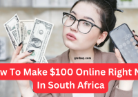 How To Make $100 Online Right Now In South Africa