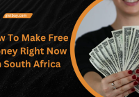 How To Make Free Money Right Now In South Africa