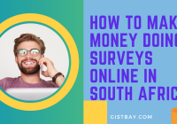 How To Make Money Doing Surveys Online In South Africa