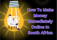 How To Make Money Immediately Online In South Africa