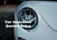 Car Insurance Quotes Zebra