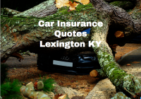 Car Insurance Quotes Lexington KY