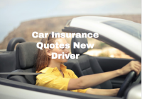 Car Insurance Quotes New Driver