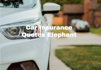 Car Insurance Quotes Elephant