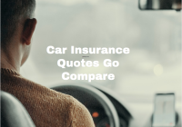 Car Insurance Quotes Go Compare