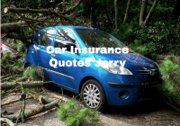 Car Insurance Quotes Jerry